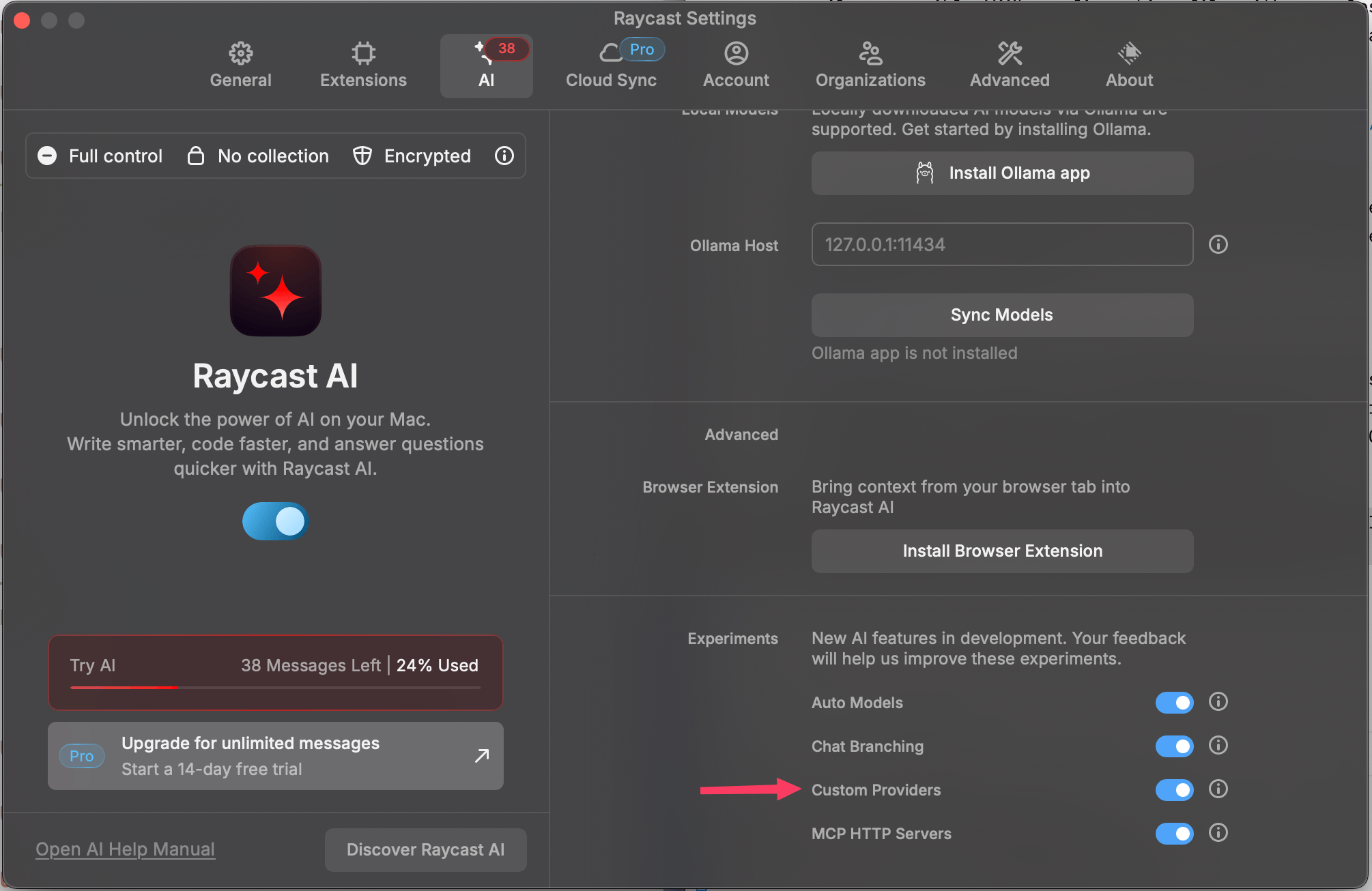 Enable Custom Providers